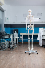 Front view of human body skeleton standing in empty doctor office used as medical instrument during osteopathy consultation. Hospital room equipped with professional tools. Medicine support