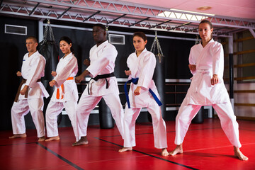 Group lesson in karate or taekwondo in the gym. Practicing blows © JackF