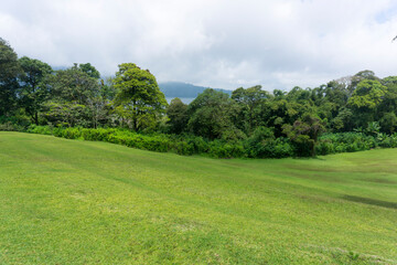 Bedugul Botanical Gardens, Bali, Indonesia (17 December 2021): Natural green grass stretches across the trees. A gathering place for family vacations in Bali.