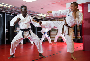 Two man working in pair, mastering new karate moves in class