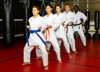 Group lesson in karate or taekwondo in the gym. Practicing blows © JackF