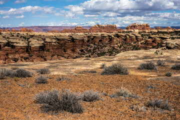 Desert Crust On The Edge Of A Cliff In The Needles