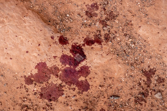 Dried Blood In The Dirt