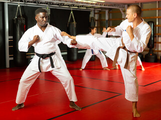 Caucasian and African-american men exercising fight moves during karate training. Women sparring in background. © JackF