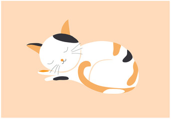 Fototapeta premium Cut cat sleeping