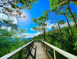 Fototapeta premium wooden bridge in the forest