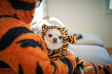 虎の威を借る白犬　
White dog borrowing the power of a tiger