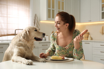 Cute dog begging for food while owner eating at table.