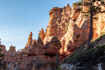 Bryce Canyon National Park in the Morning hiking