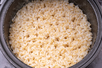 炊きたての玄米ご飯