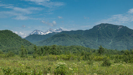 The Alpine meadow is covered with lush green vegetation, wildflowers. A picturesque mountain range...