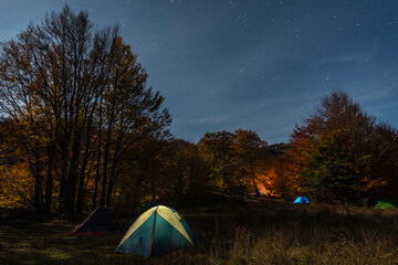 Tourists' tents in a clearing illuminated by moonlight