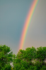 A multi-colored rainbow is arched in the sky