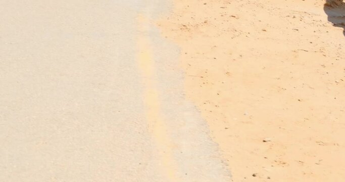 Two soldiers in a military dog unit walk their military dog next to them on the road
