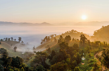 Panoramic amazing mist mountain landscape with sunrise background