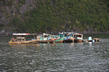 Vietnamese Fishing Boats Moored Together in a Row in Ha Long Bay, Vietnam