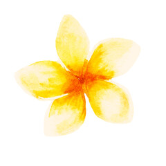 Watercolor tropical collection. Hand drawn leaves and flowers isolated on white background. Tropical decorative elements for textile, cards and invitations
