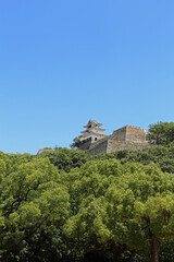 Fototapeta na wymiar 初夏の丸亀城