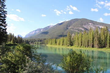 Morning On The Bow, Banff National Park, Alberta