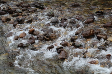 water flowing into the river, Jasper National Park, Alberta