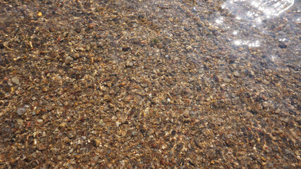 Sand surface in clear, sunlight on the right side of a photo taken from a stream near the garden.