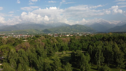 Fototapeta na wymiar panorama with mountains, trees and village