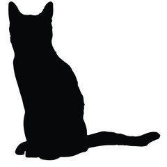 black cat silhouette
