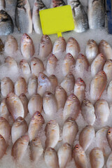 coral fish at the market. ready for cooking.