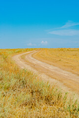 road in the field