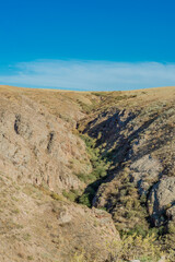 landscape in park state