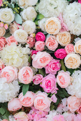beautiful flower wall of pink and white roses