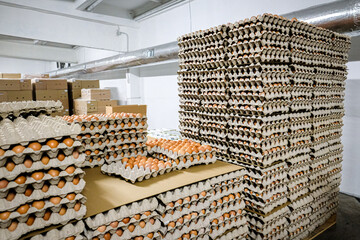 Eggs from chicken farm in the package that preserved for sale. Defocused