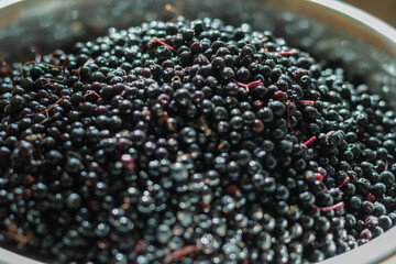 Defocus, blur, noise, grain effect.Ripe black elderberries. Samb