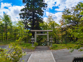 Torii gate facing a road (Zao, Yamagata, Japan)