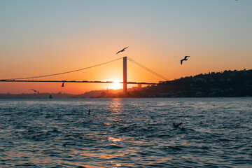 Istanbul background photo. Bosphorus Bridge and seagulls at sunset.