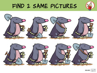 Mole with a shovel. Find two same pictures