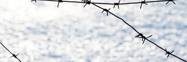 Old barbed wire on a background of snow. Barbed wire closeup. Shallow depth of field. Siberia,...