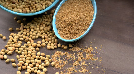 Dry coriander seeds with small bamboo spoon and green fresh bunch coriander leaves,famous spices ingredients in asia's kitchen.