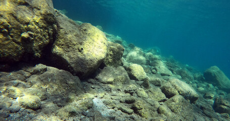 Underwater world of Mediterranean Sea. Near Marmaris, Turkey