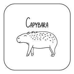 Animal English alphabet. Coloring page with animal. Letter C- Capybara.