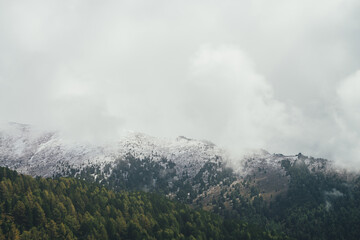 Fototapeta premium Atmospheric autumn landscape with forest on background of high snow-covered mountain ridge with coniferous trees in low clouds. Gloomy mountain scenery with rocks on mountain in snow in rain clouds.