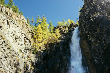 Scenic autumn landscape with vertical big waterfall and yellow trees at mountain top in sunshine. Powerful large waterfall in rocky gorge. High falling water and trees of golden colors in fall time.