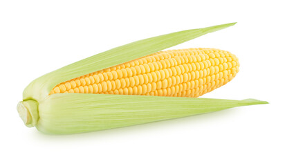 Fresh whole half peeled corn cob isolated on a white background.