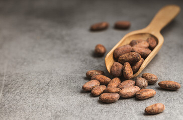 Dried cocoa beans. Cacao beans in scoop.