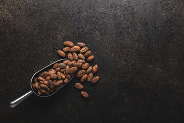 Dried cocoa beans. Cacao beans in scoop.