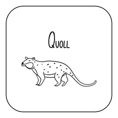 Animal English alphabet. Coloring page with animal. Letter Q - Quoll.
