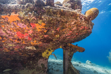 Seascape with Tugboat wreck, various fish, coral, and sponge in the coral reef of the Caribbean...