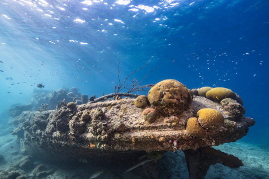 Seascape with Tugboat wreck, various fish, coral, and sponge in the coral reef of the Caribbean Sea, Curacao