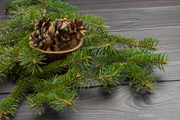 Pine cones in coconut shell among pine branches.