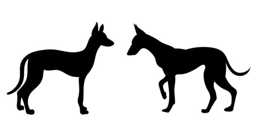 Fototapeta na wymiar dog silhouette black isolated, vector
